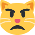 :pouting_cat: