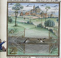 Illumination of goldfinch catching by the Maître du Girart de Roussillon, from: Henri de Ferrières, Livres du roy Modus et de la royne Ratio (Brussels, KBR, ms. 10218-19). Circa 1430-1455.