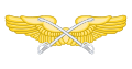 Arma de Caballería Aérea