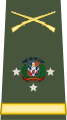 Teniente General