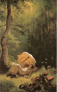 Carl Spitzweg