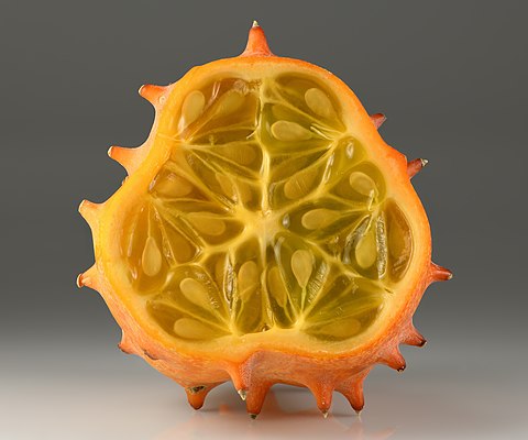 African horned cucumber