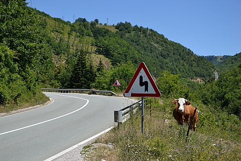 Road M-5 in Montenegro