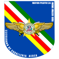 Escuadrón de Caballería Aérea