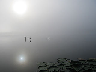 Fog over lake